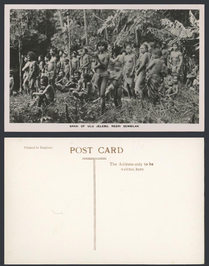 Negri Sembilan, Sakai of Ulu Jelebu, Native Sakais Group Old Real Photo Postcard
