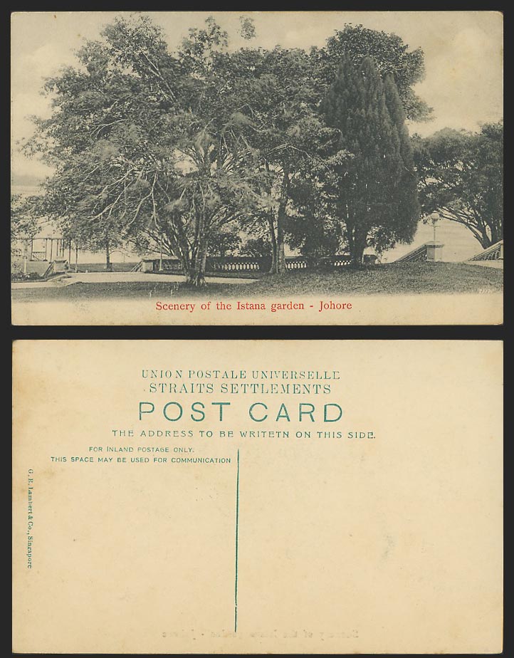 Johore Old Postcard Scenery of The Istana Garden Trees Malay Straits Settlements