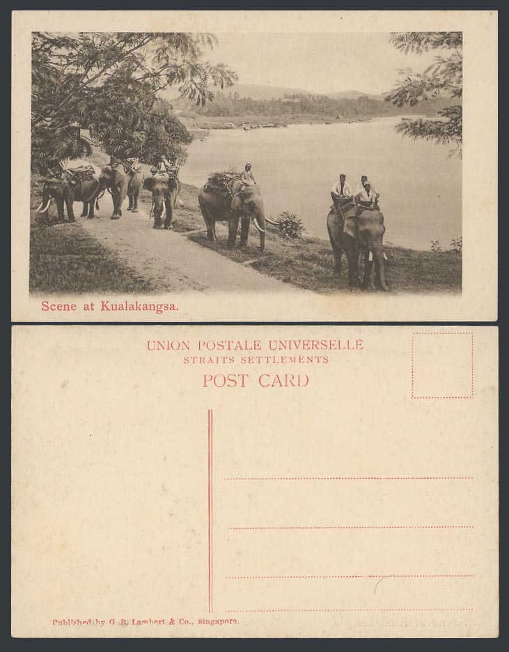 Perak Old Postcard Scene at KUALAKANGSA Elephant Riders Kuala Kangsar GR Lambert