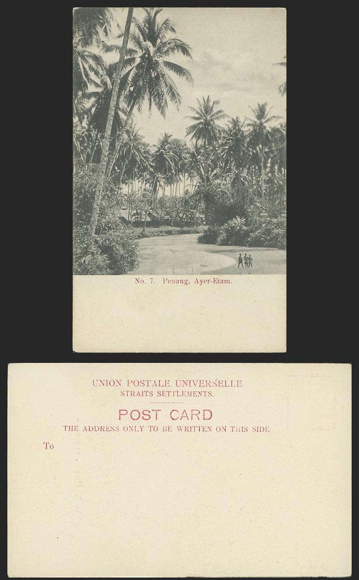 Penang Old UB Postcard Ayer-Etam Palm Trees Boys Children A Kaulfuss Penang No.7