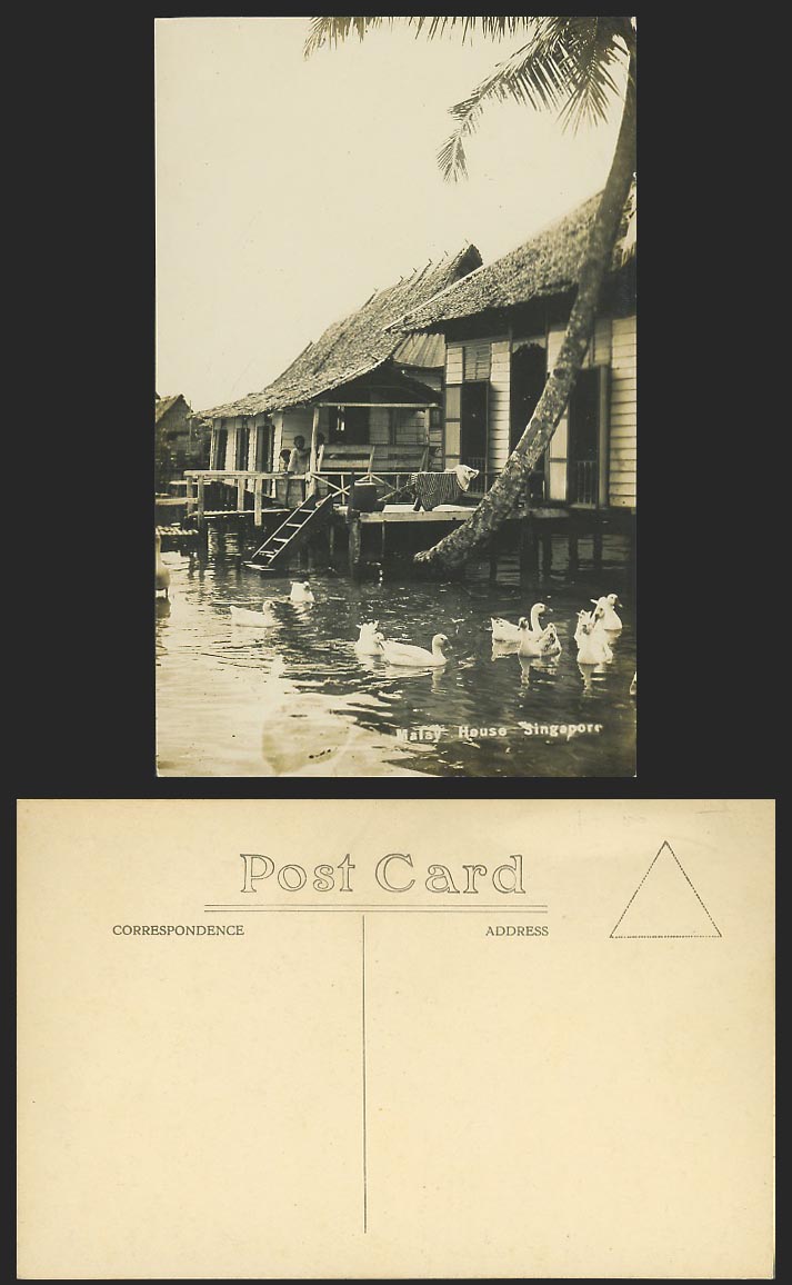 Singapore Old Real Photo Postcard Native Malay House on Stilts Ducks Geese Birds