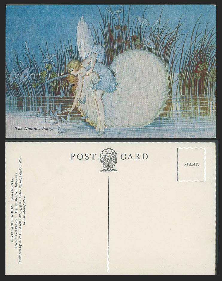 Ida Rentoul Outhwaite Old Postcard The Nautilus Fairy from Fairyland Butterflies