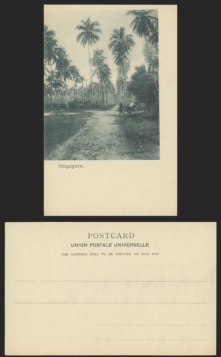 Singapore Old UB Postcard Palm Trees, Rickshaw, Coolie, Cart, Suburb, Crossroads