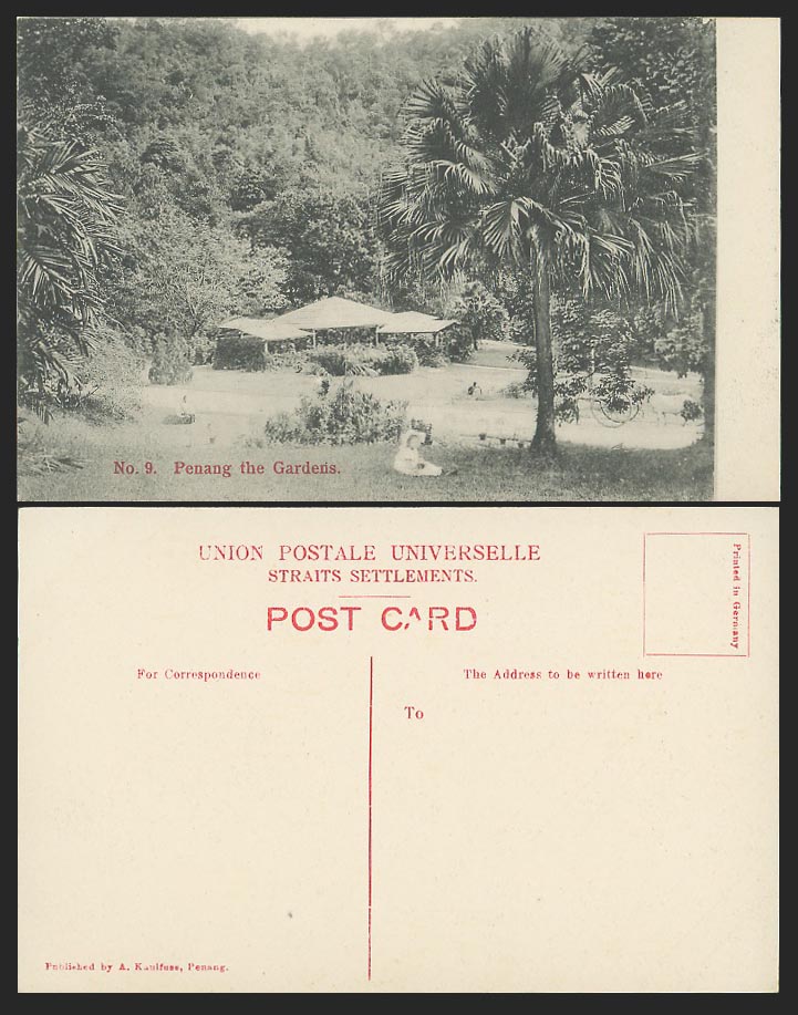 Penang Old Postcard Gardens, Little Girl, Bullock Cart, Botanic Botanical Garden