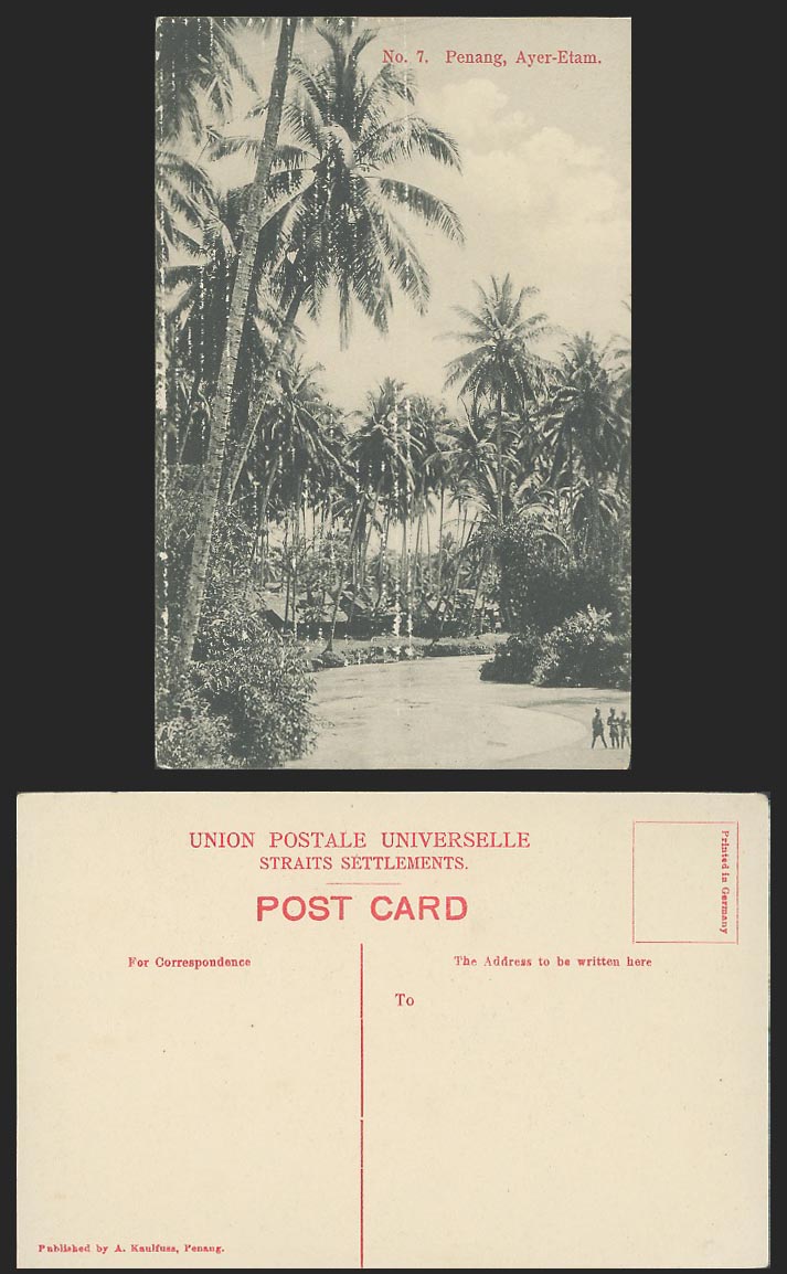 Penang Old Postcard Ayer-Etam, Palm Trees, Boys Children A Kaulfuss Penang No. 7