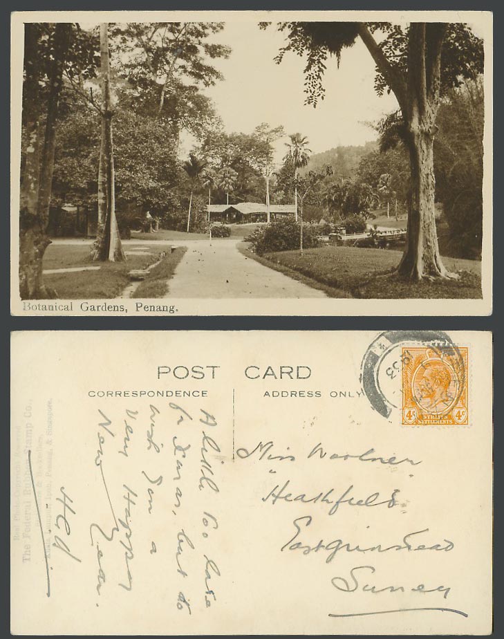 Penang Straits KG5 4c. 1933 Old Postcard Botanical Gardens Botanic Garden, Palms