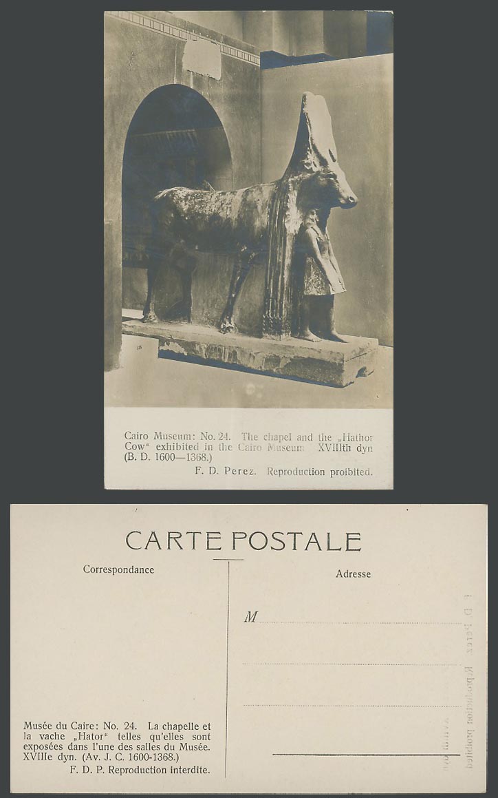 Egypt Old Postcard Cairo Museum Sacred Cow Hathor Her Chapel Thotmes III Erected
