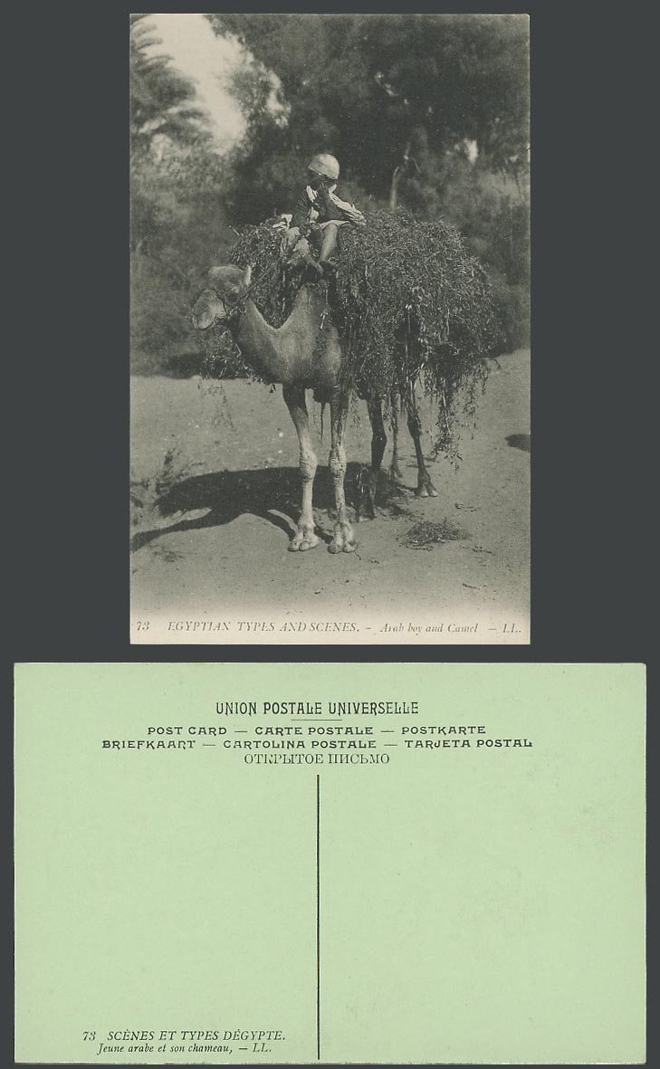 Egypt Old Postcard Cairo, Native Arab Boy and Camel, Jeune Arabe Chameau L.L. 73