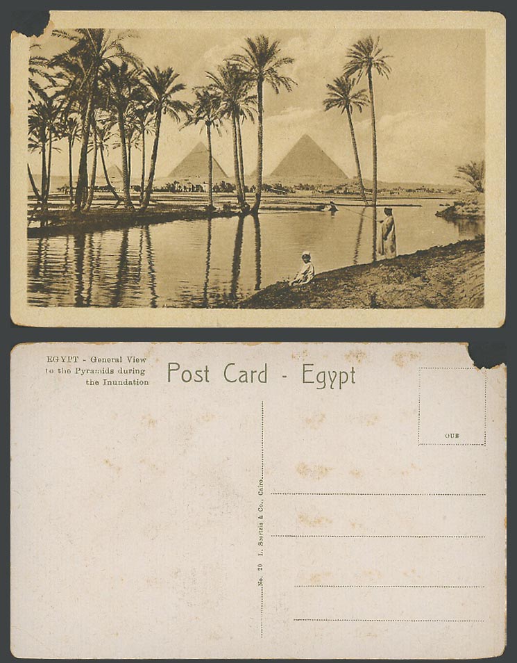 Egypt Old Postcard Cairo Pyramids Giza during Inundation, Nil Nile River Fishing