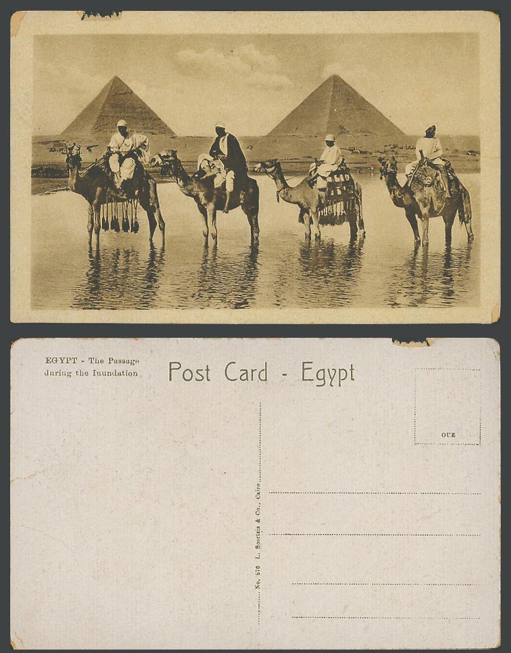 Egypt Old Postcard Passage during Inundation Flood, Native Camel Riders Pyramids