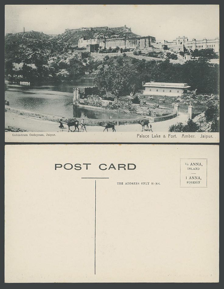 India Old Postcard Jaipur Jeypore Palace Lake & Fort Amber Elephant Rider Street