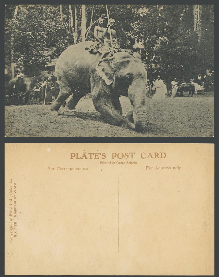 Ceylon Old Postcard Elephant at Work Native Men Elephants Cattle Ethnic Life 138