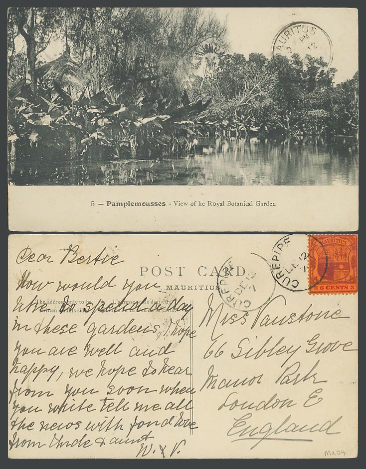 Mauritius 6c 1907 Old Postcard PAMPLEMOUSSES View of Royal Botanical Garden Lake