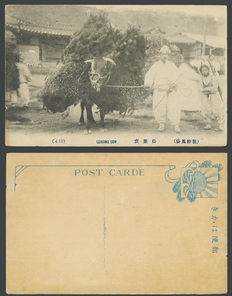Korea Old Postcard Korean Man Leading Cow Cattle, Pine Leaves Seller 朝鮮 牛 松葉賣 18