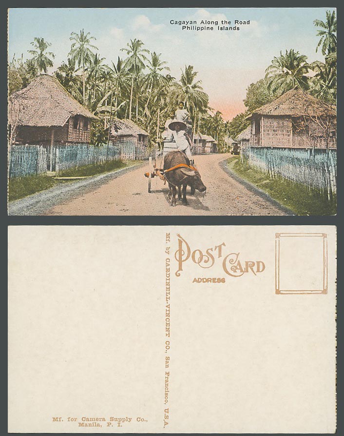 Philippines Old Colour Postcard Cagayan along the Road Street Water Buffalo Cart