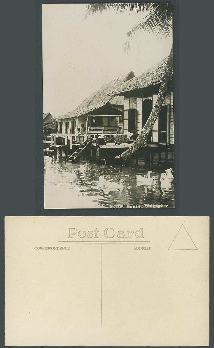Singapore Old Real Photo Postcard Native Malay House above Water and Geese Birds