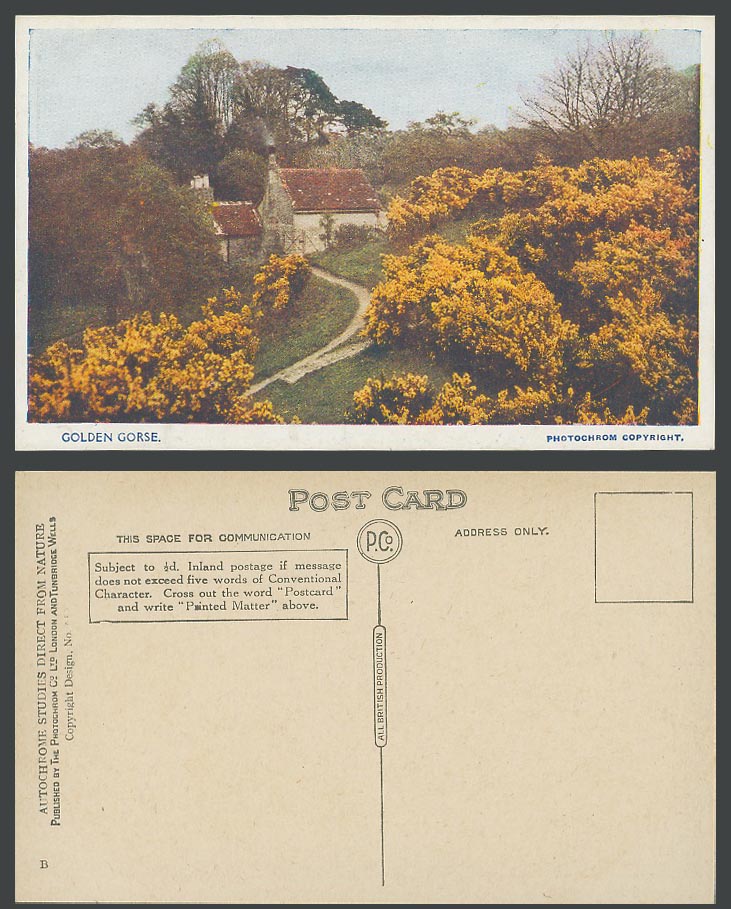 Golden Gorse Cottage, Autochrome Studies direct from Nature Old Colour Postcard