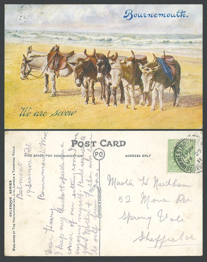 Bournemouth Donkey Ride We Are Seven 7 Donkeys on Beach Dorset 1911 Old Postcard