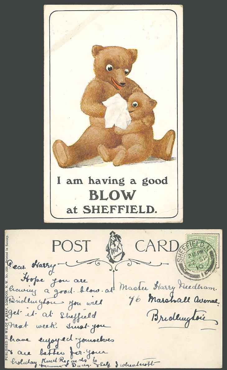 Teddy Bear I'm Having a Good Blow at Sheffield Yorkshire Comic 1910 Old Postcard