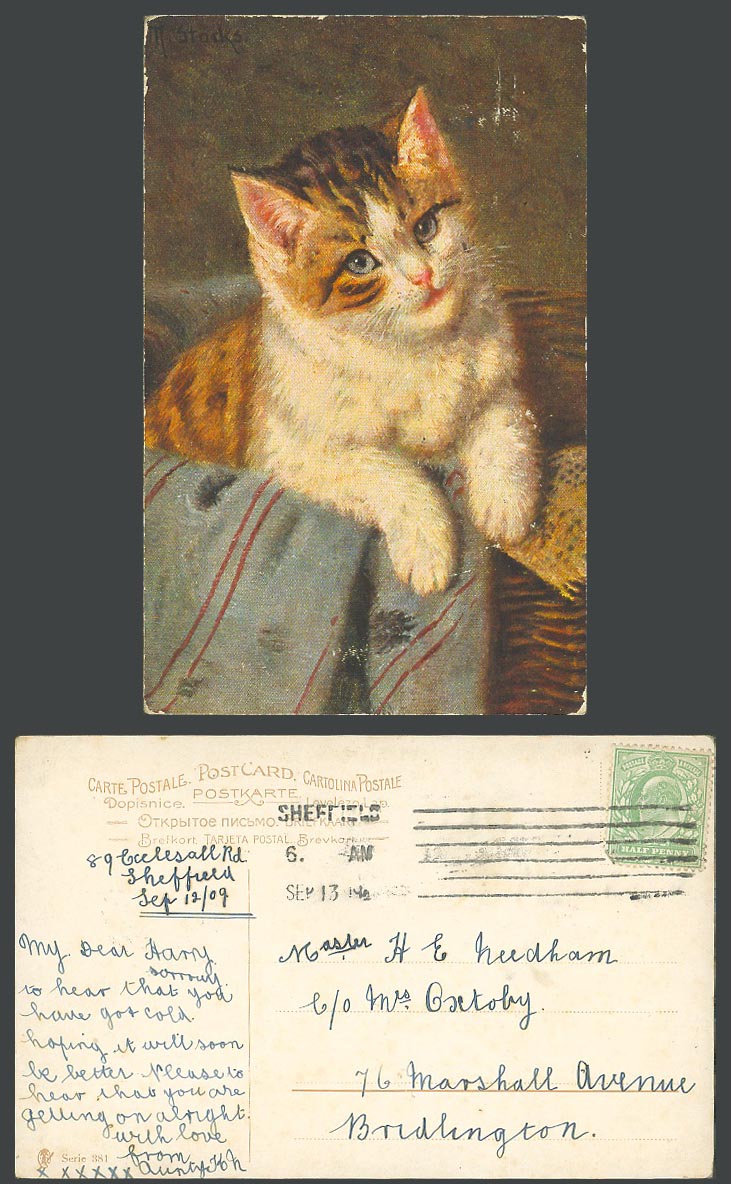 Cat Kitten, Pet Animal 1909 Old Postcard Art Artist Drawn, Serie No. 381