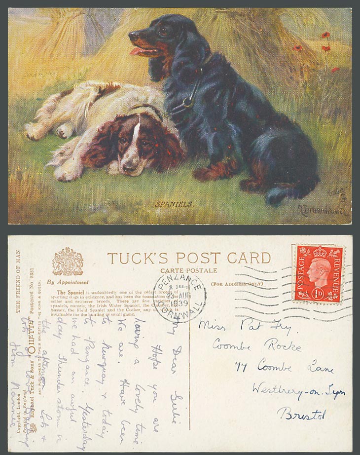 N. Drummond A Signed Spaniels Dog Friend of Man 1939 Old Tuck's Oilette Postcard