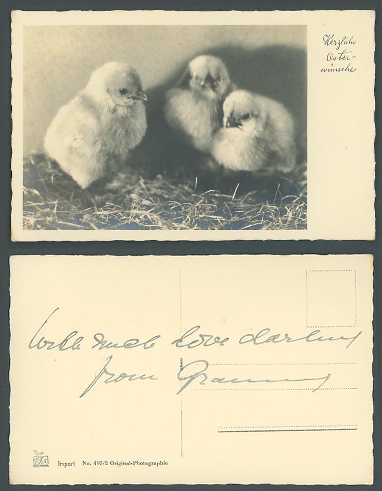 Easter Chicks Birds Herzliche Osterwunsche Easter Wishes Old Real Photo Postcard