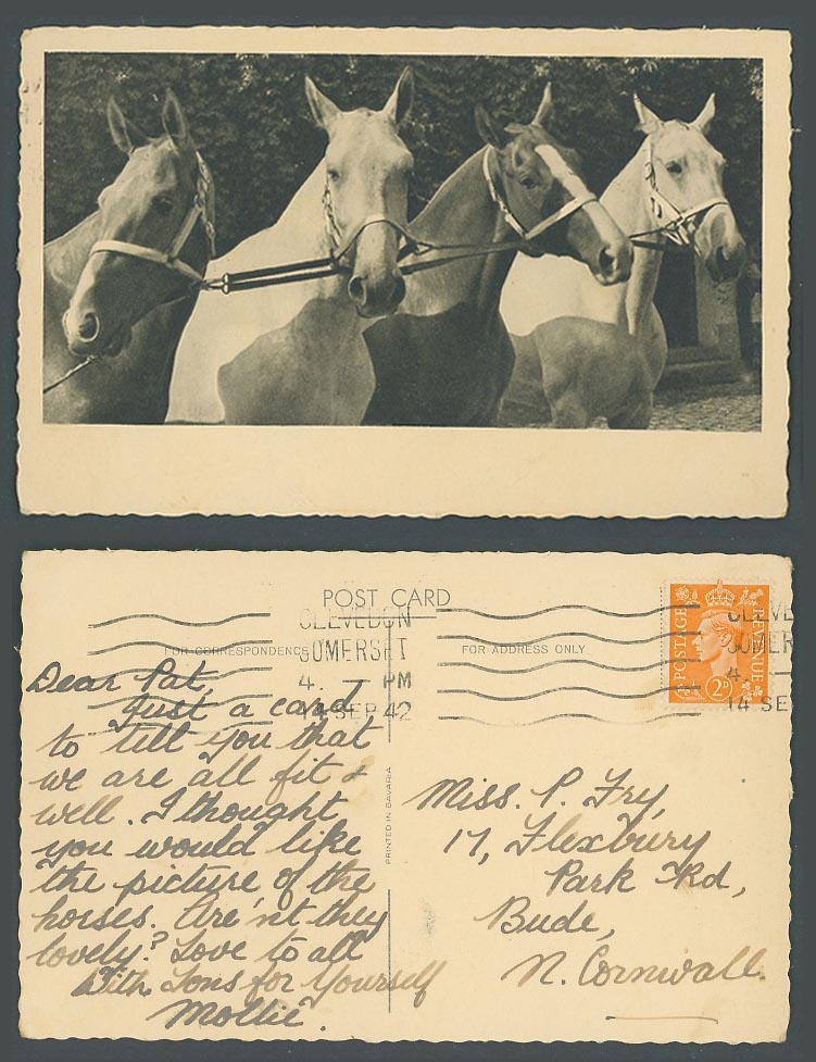 Horse Pony Animals, 4 Horses Ponies 1942 Old Postcard KG6 2d., Clevedon Postmark