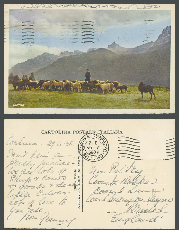 Italy 1938 Old Colour Postcard Cortina Shepherd Sheep Lamb Ram Animals Mountains