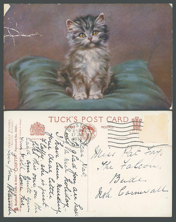Persian Pussies Kitty's Portrait Cat Kitten 1936 Old Tuck's Oilette Postcard ART
