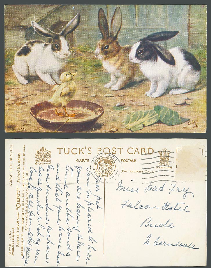 B. Cobbe Rabbits Bunny Chick Bird Along The Bunnies Old Tuck's Oilette Postcard