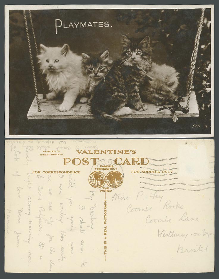 Cats Kittens on Swing Playmates, Cat Kitten 1937 Old Real Photo Postcard Animals