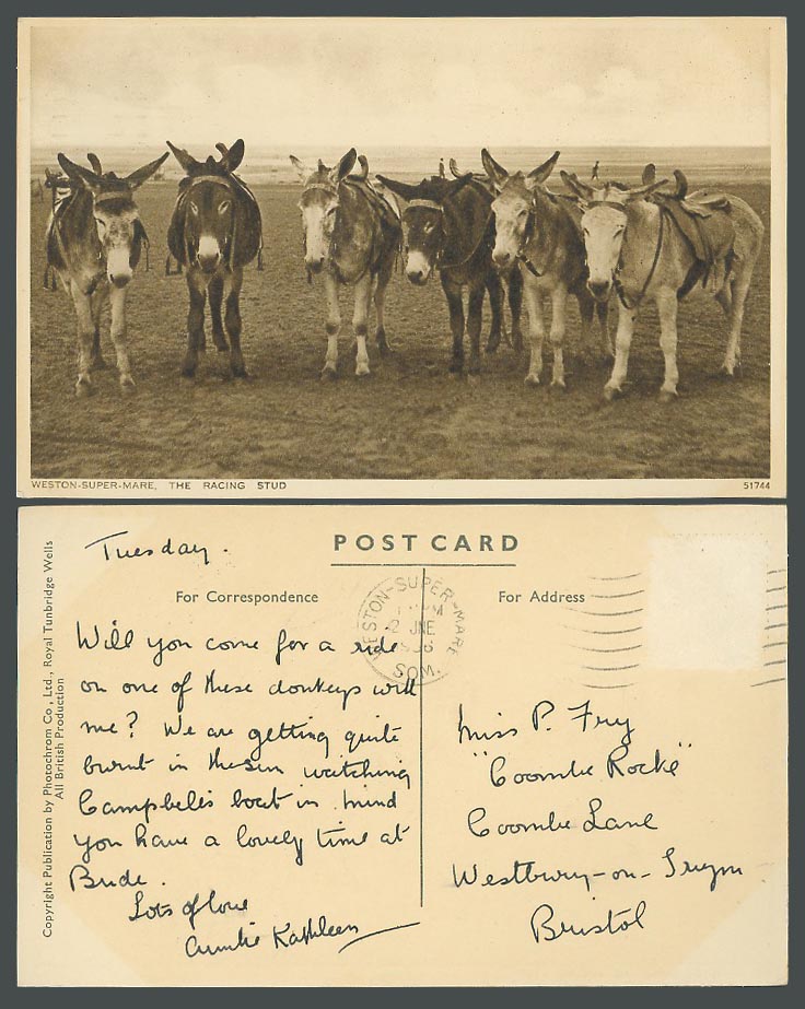 Weston-Super-Mare Old Postcard Donkey Donkeys The Racing Stud on Beach Seaside