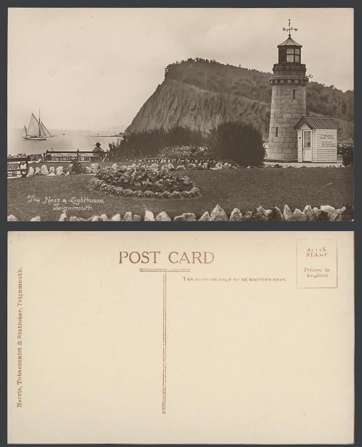 Teignmouth The Ness & Lighthouse T Wilson Chair Office Garden Devon Old Postcard