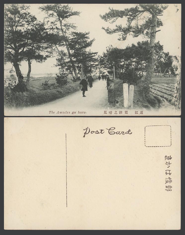 Japan Old Postcard Awazu Awadza ga haru, Road Street Scene. Pine Trees 近江 粟津之晴嵐