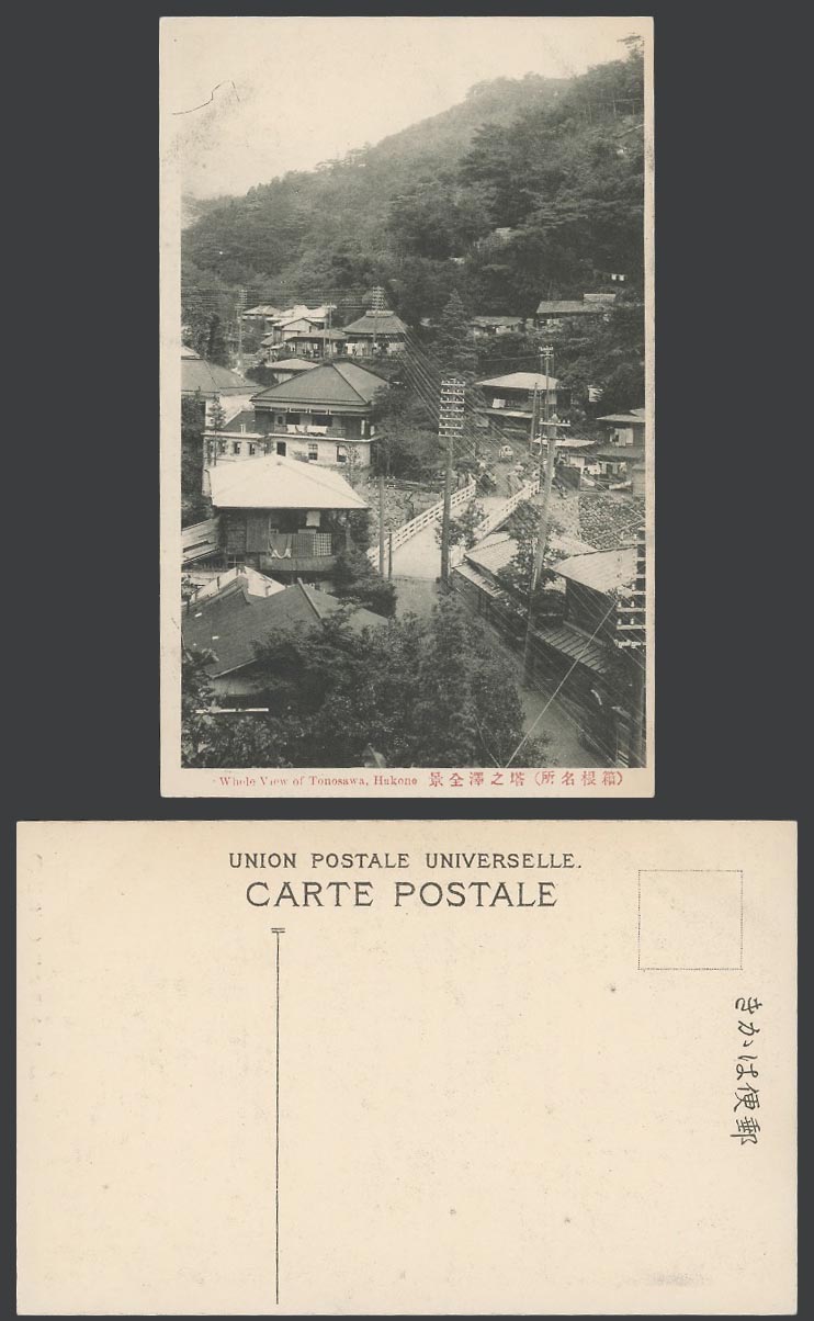 Japan Old Postcard Whole View of Tonosawa Hakone Bridge Street Scene 箱根 塔澤 塔之澤全景