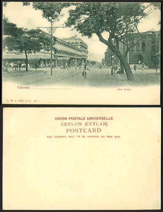 Ceylon c.1900 Old U.B. Postcard YORK STREET The Colombo Apothecary Co. Sri Lanka