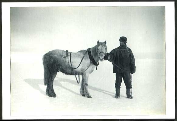 British ANTARCTIC Expedition 1911 Postcard Cherry-Garrard & PONY HORSE, MICHAEL