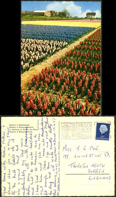 Netherlands 1967 Postcard Holland in Flower Decoration