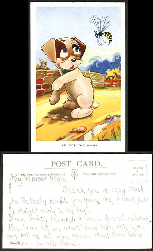 JINKY Series No.27 Dog BEE Postcard - I've Got The Hump