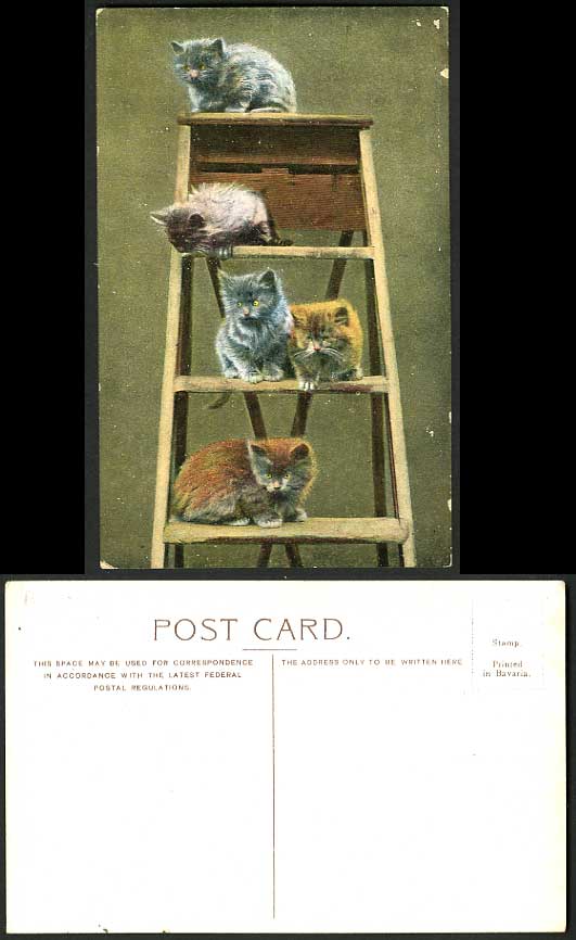 5 CATS on A Ladder Old Colour Tinted Art Drawn Postcard Kittens Pets Pet Animals