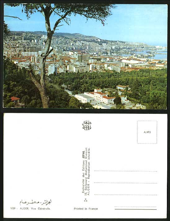 Algeria ALGER Old Colour Postcard Harbour General View