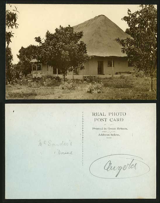 ANGOLA Old Real Photo Postcard Trees Mr. Sander's House