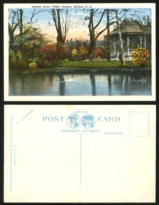 Canada Old Postcard Public Gardens Halifax Autumn Swan