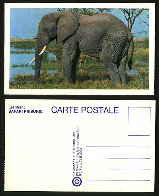 ELEPHANT with tusks in Safari Prisunic Colour Postcard