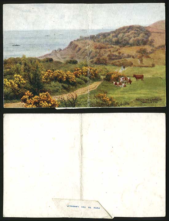 AR Quinton Old Card Path to The Landslip Shanklin I.W.