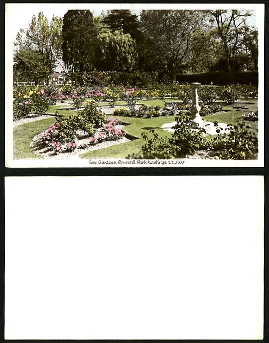 N.Z. Hastings Old RP Postcard Rose Garden Cornwall Park