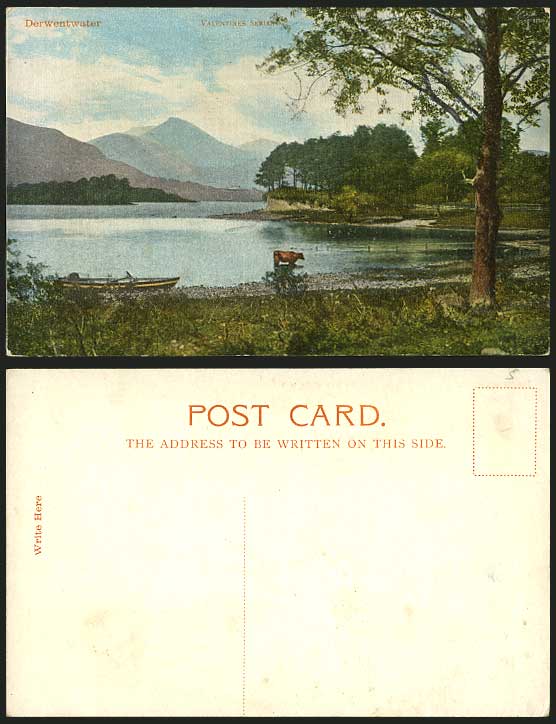DERWENTWATER Old Colour Postcard Boat Cattle Lake Tree