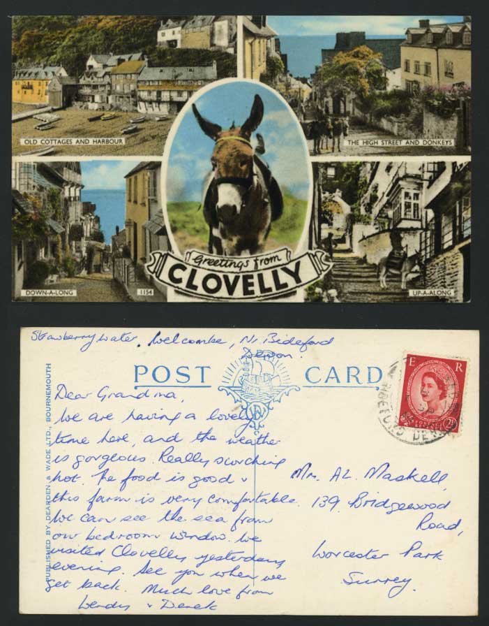 CLovelly 1961 Old Multiview Postcard Donkeys High Street Scene Harbour Cottages