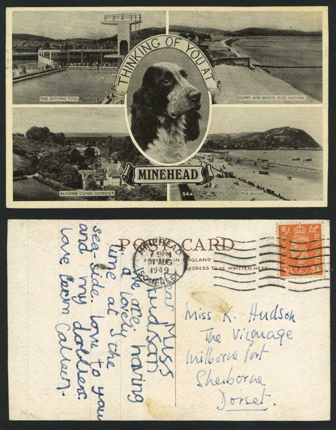 Minehead 1949 Postcard DOG Alcombe Combe, Beach, Cliffs