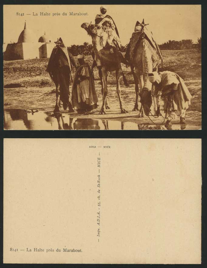 Camels & Native Men Halte pres du Marabout Old Postcard